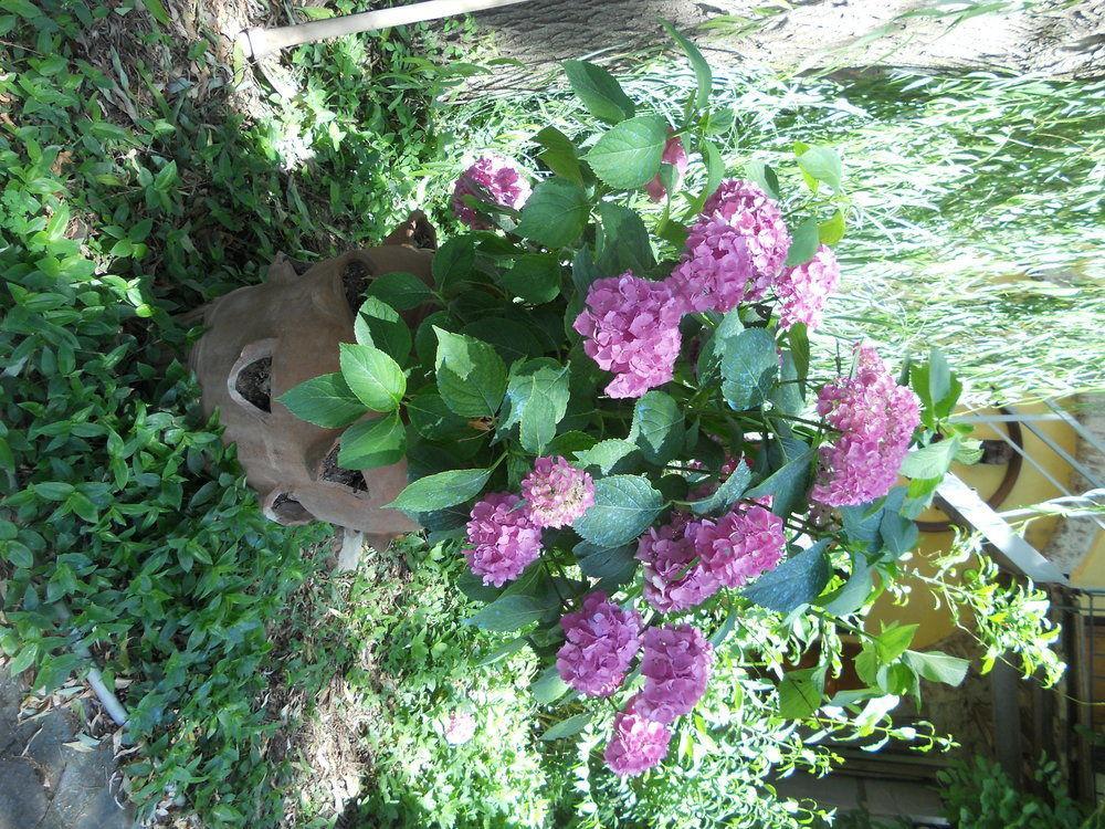 Agriturismo Le Macine Florence Extérieur photo