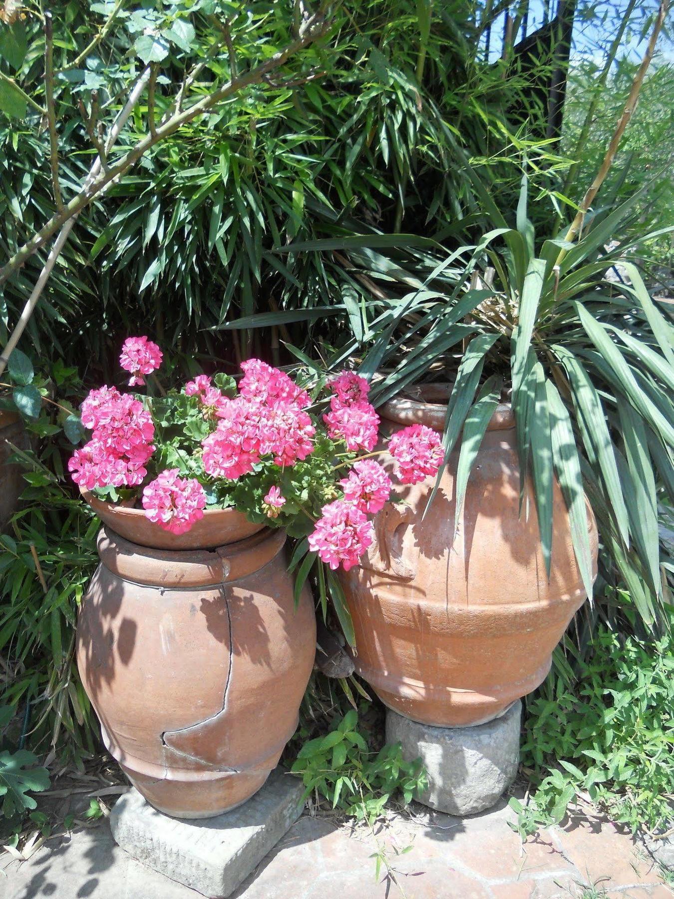 Agriturismo Le Macine Florence Extérieur photo